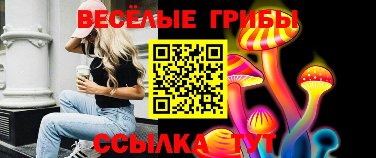 Галлюциногенные грибы Psilocybine cubensis Благодарный